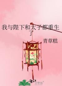 我与陛下和太子都重生了